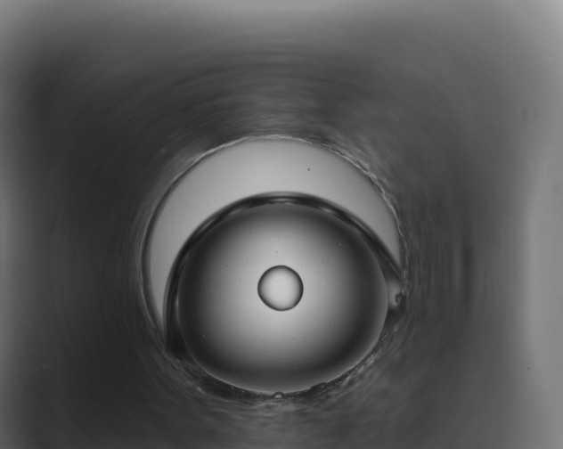 X0000089740099200706281615