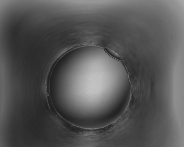 X0000089740100200706281615