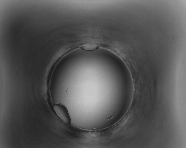 X0000089740102200706281614