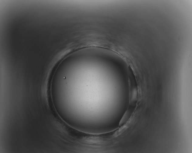 X0000089740104200706281614