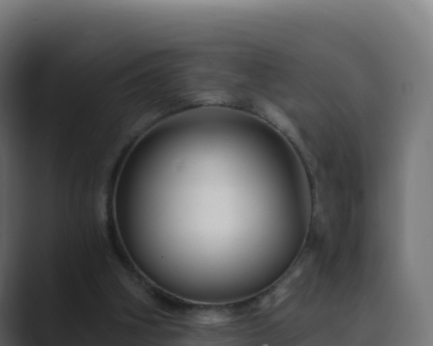 X0000089740106200706281614