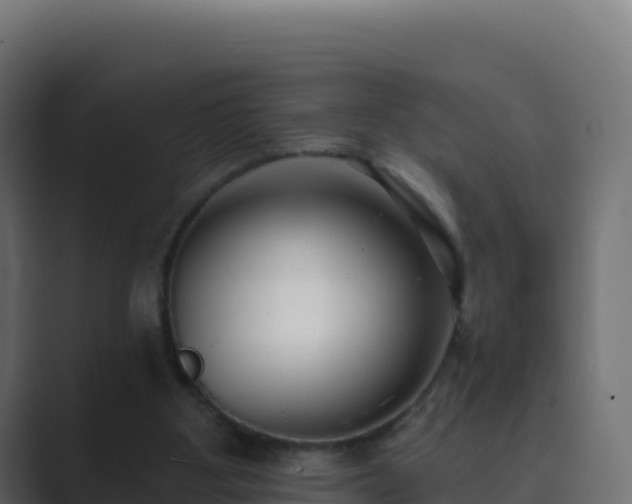 X0000089740107200706281614