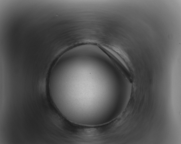 X0000089740108200706281614