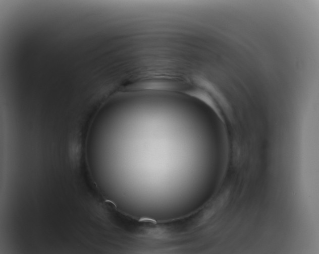 X0000089740113200706281614