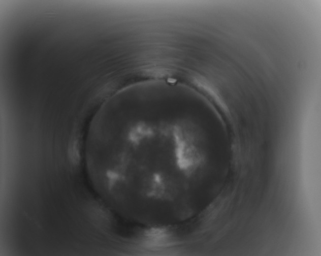 X0000089740114200706281614