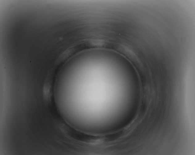 X0000089740116200706281614