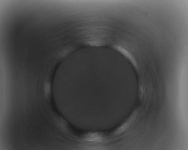 X0000089740117200706281614