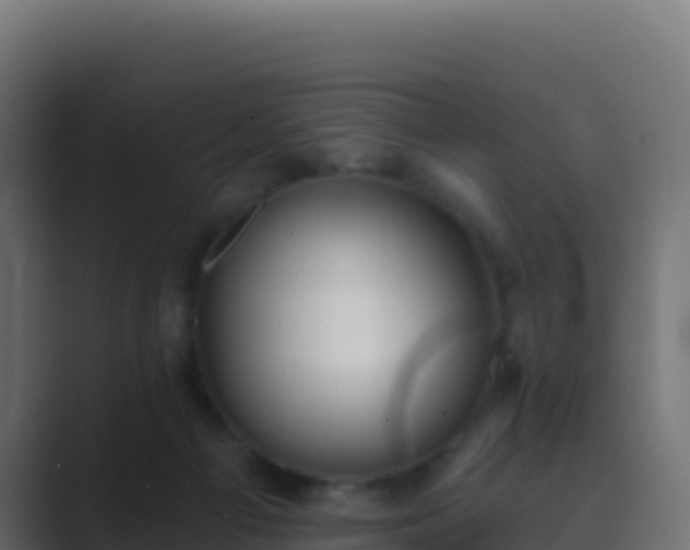 X0000089740121200706281614