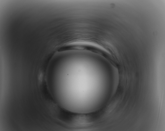 X0000089740123200706281614