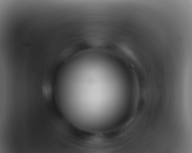 X0000089740124200706281614