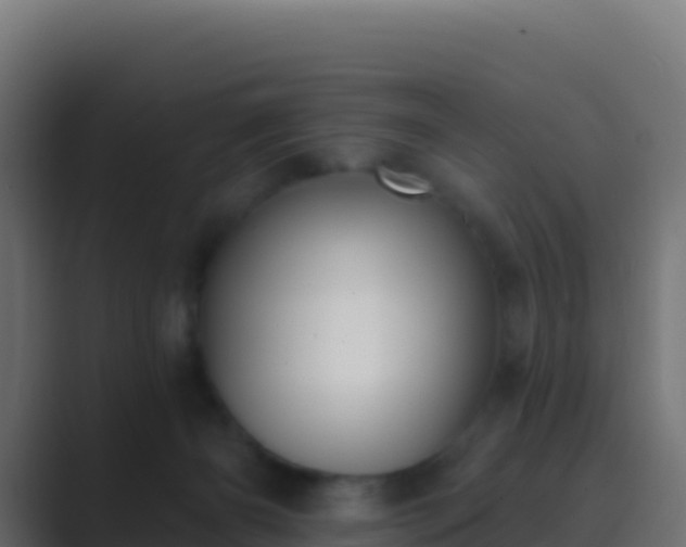 X0000089740126200706281614