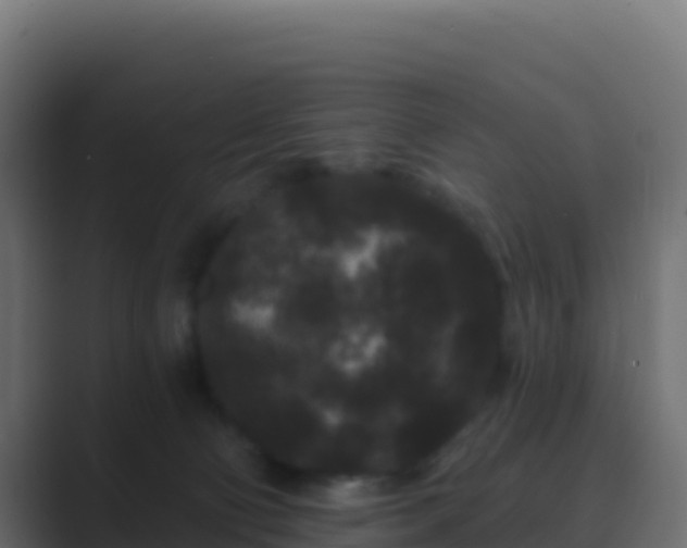 X0000089740130200706281614