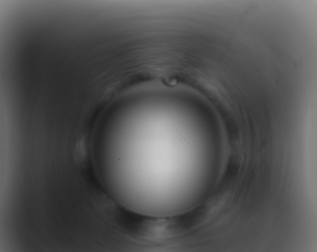 X0000089740131200706281614