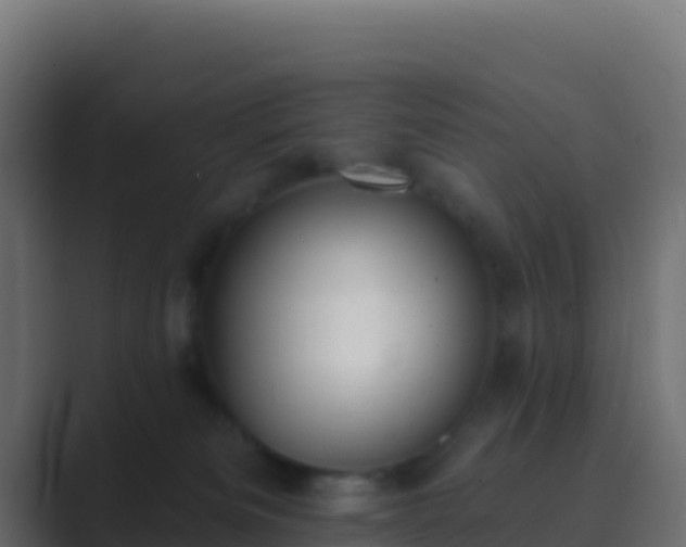 X0000089740133200706281614