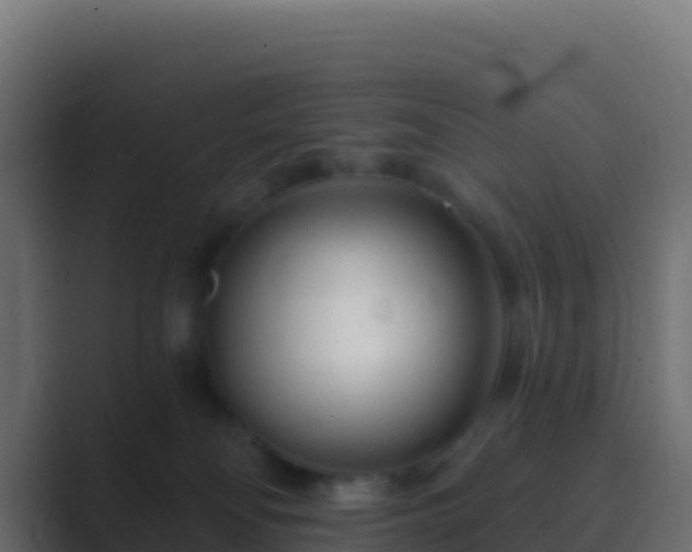 X0000089740134200706281614