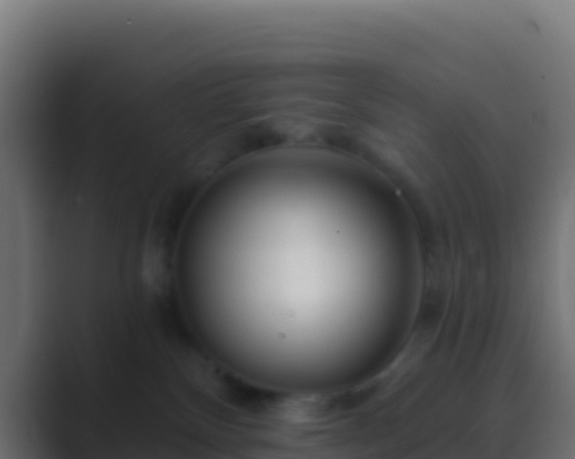 X0000089740136200706281614