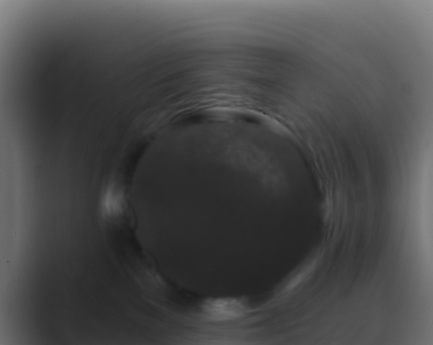 X0000089740137200706281614