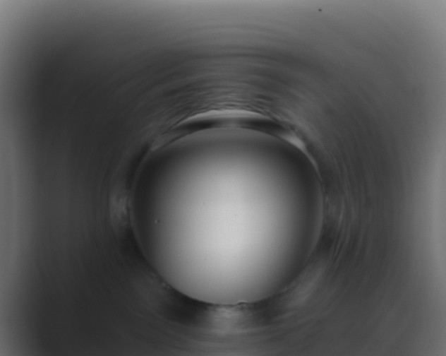 X0000089740141200706281614