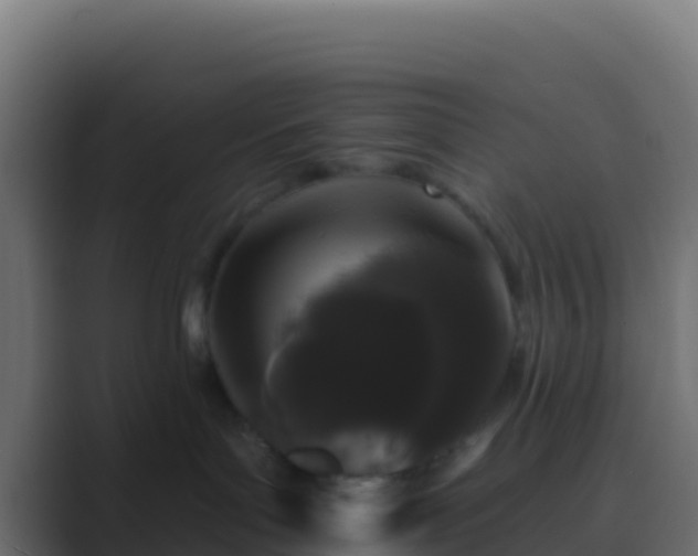 X0000089740143200706281614