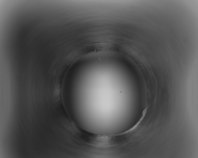 X0000089740144200706281614