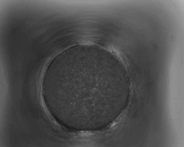 X0000089740145200706281613