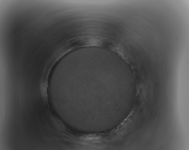 X0000089740146200706281613