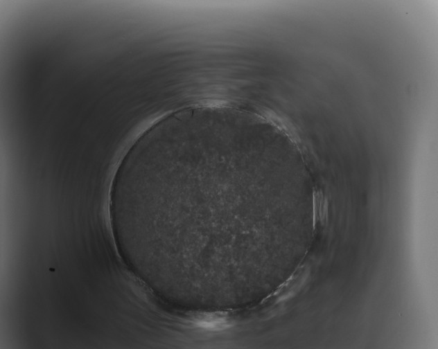 X0000089740147200706281613