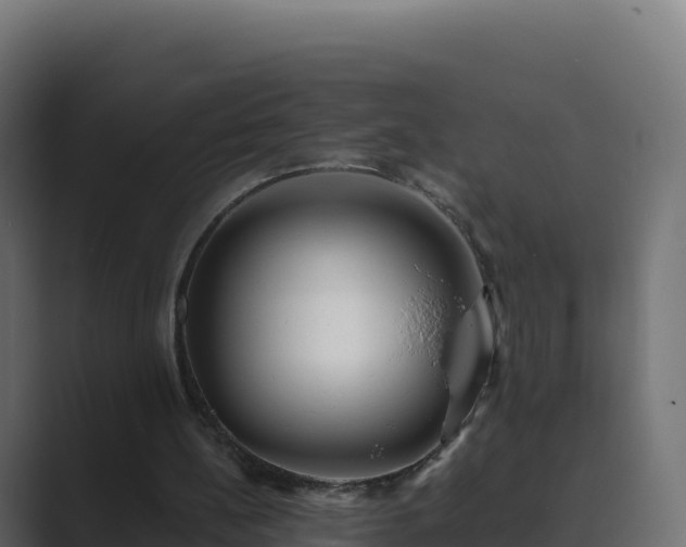 X0000089740148200706281613