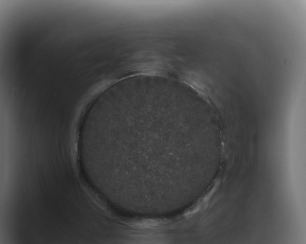 X0000089740149200706281613