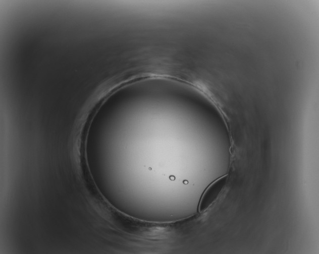 X0000089740151200706281614