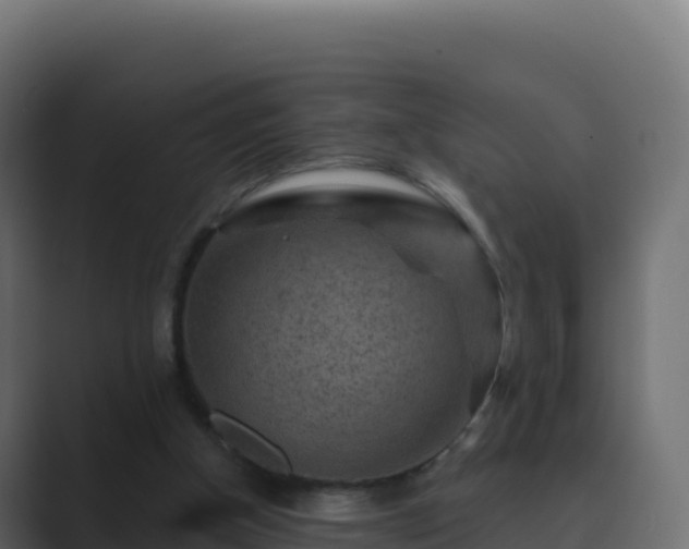 X0000089740154200706281614