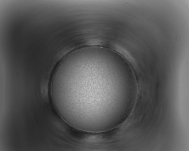 X0000089740155200706281614