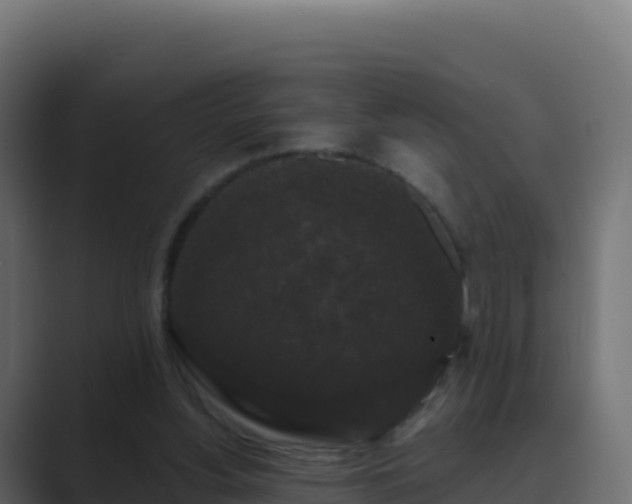 X0000089740156200706281614