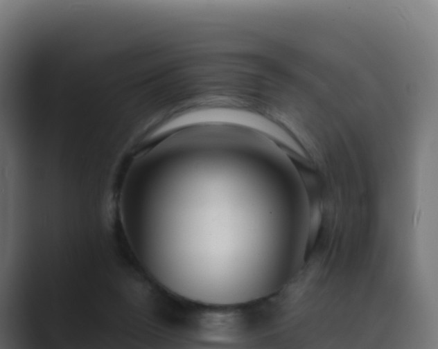 X0000089740160200706281614