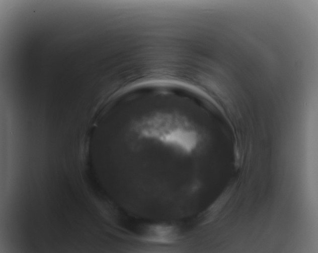 X0000089740168200706281614