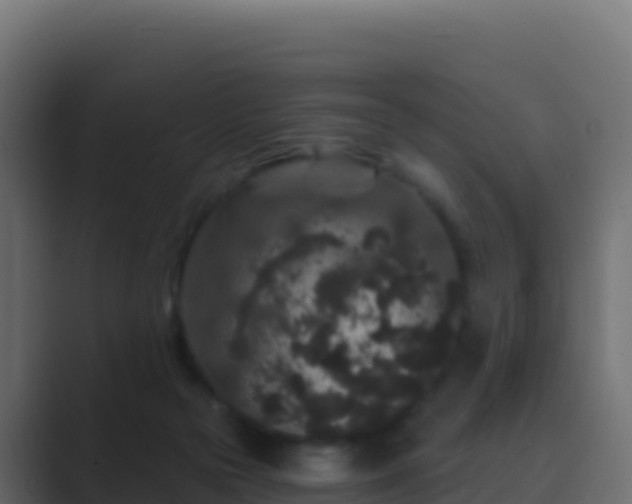 X0000089740169200706281614