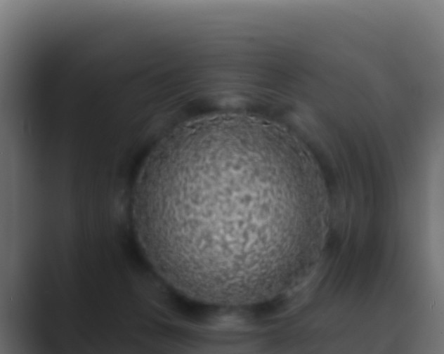 X0000089740175200706281614