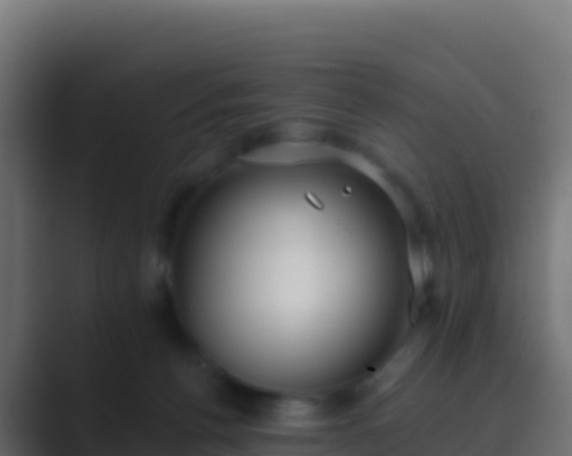 X0000089740176200706281614