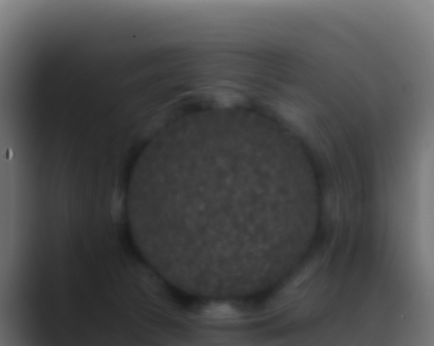 X0000089740177200706281614