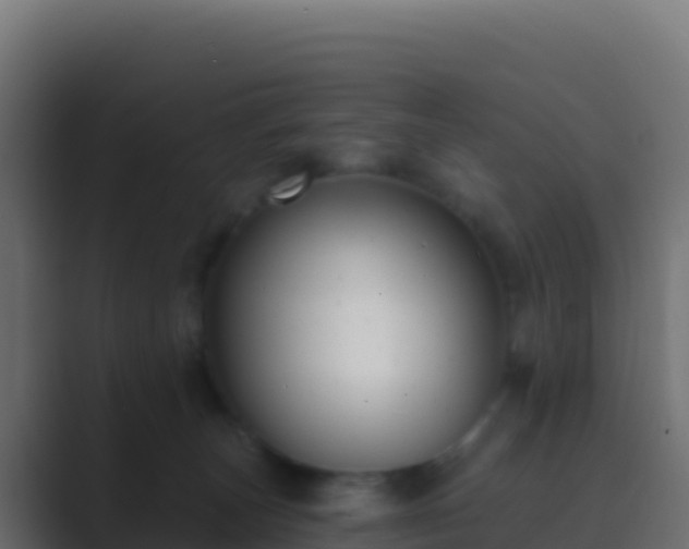 X0000089740179200706281614