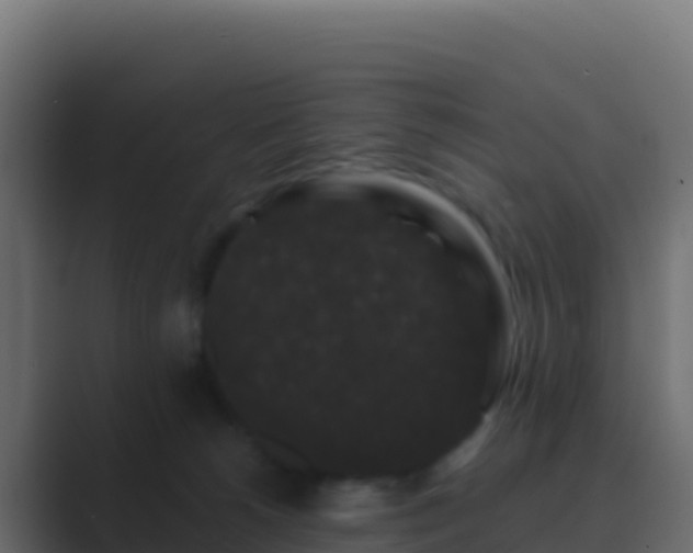 X0000089740180200706281614