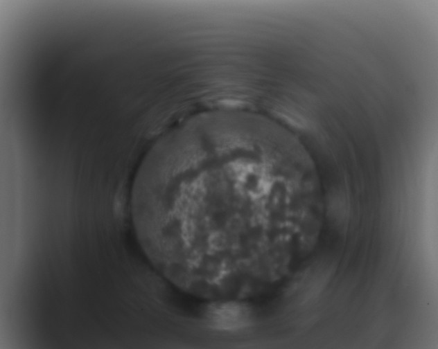 X0000089740181200706281614