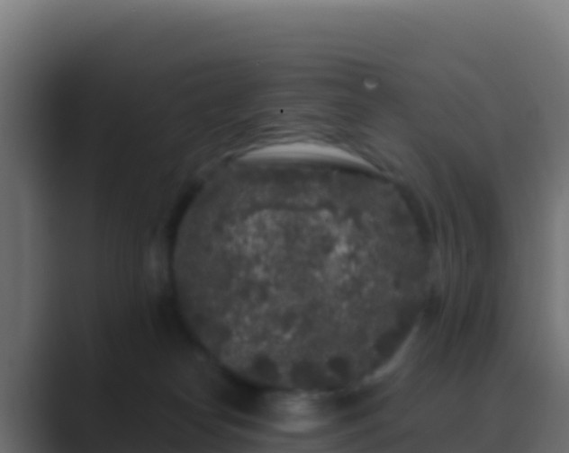 X0000089740182200706281614