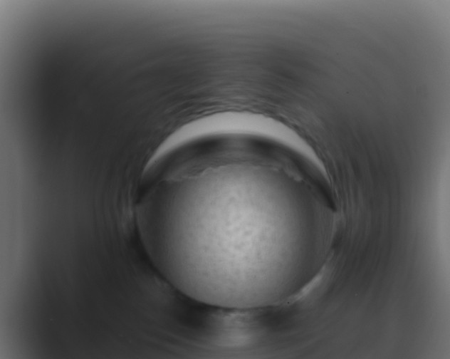 X0000089740186200706281614