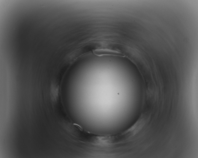 X0000089740188200706281614