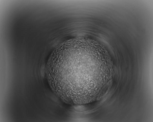 X0000089740189200706281614