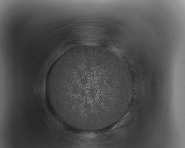 X0000089740194200706281613