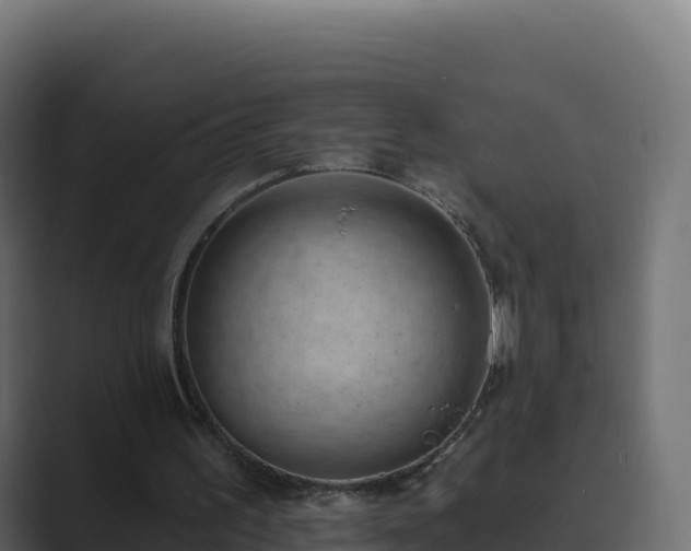 X0000089740195200706281613