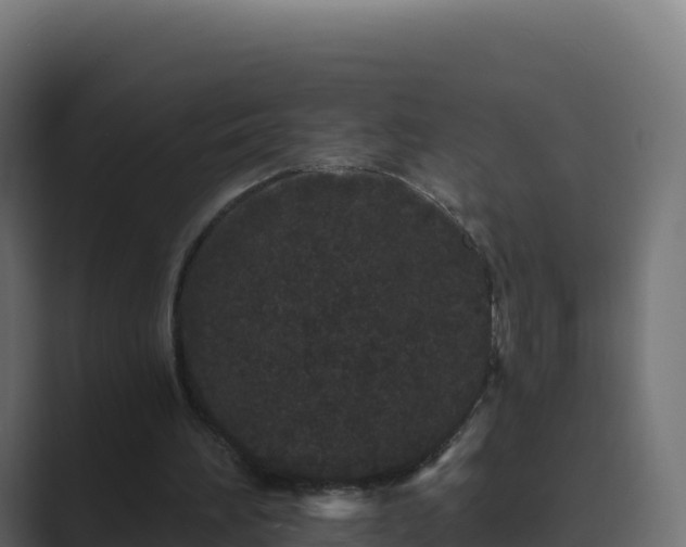 X0000089740196200706281613