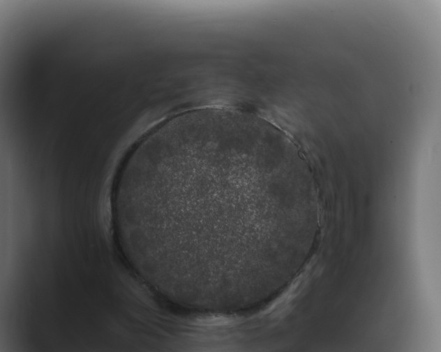 X0000089740198200706281613